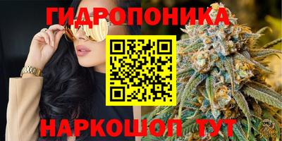 мяу мяу мука Чебаркуль