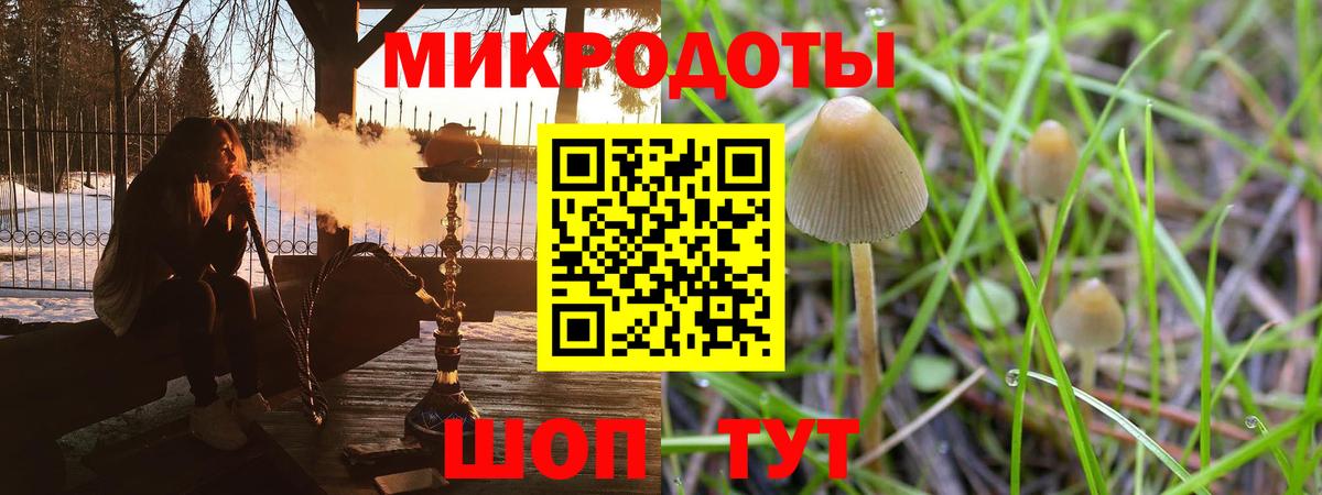 Бийск  Галлюциногенные грибы Psilocybine cubensis  Вход с VPN 