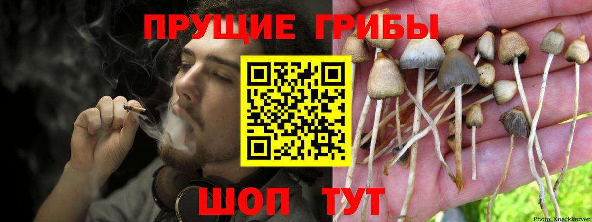 Псилоцибиновые грибы MAGIC MUSHROOMS Бийск